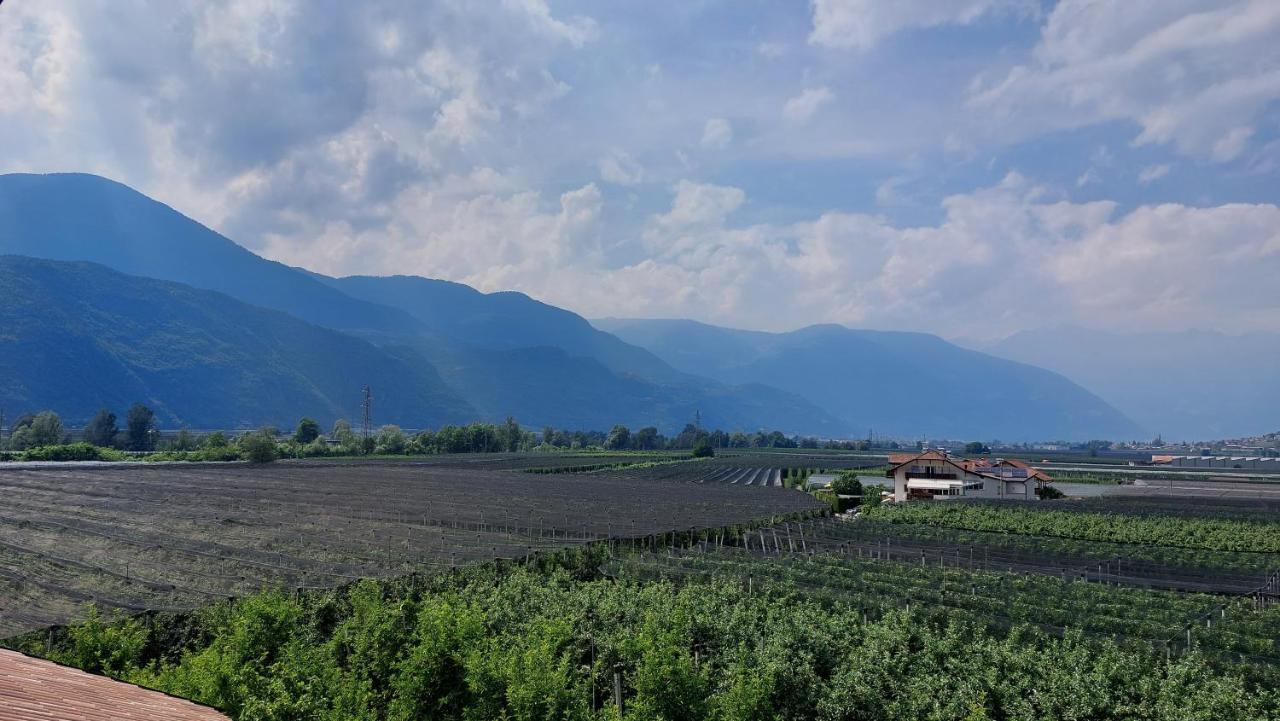 Mittelbergerhof Ferienwohnungen 빌피아노 외부 사진